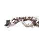 Image of Catalytic Converter. Pipe Complete Exhaust (Front). RCAK5. Tubular Component. image for your 2010 Subaru Impreza   